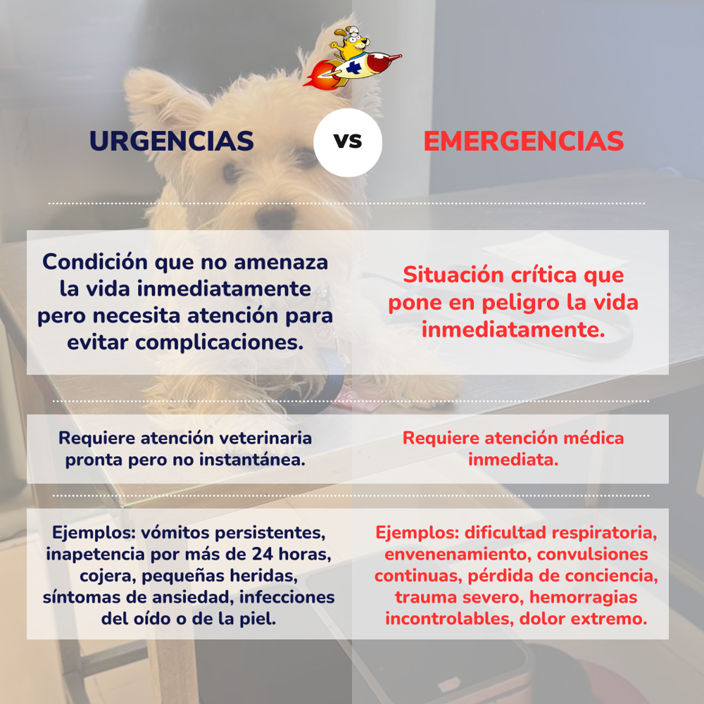 Infografía comparativa entre 'Urgencias' y 'Emergencias' veterinarias destacando las diferencias en gravedad y tipos de atención requerida para mascotas, con ejemplos específicos de condiciones y síntomas en cada categoría.